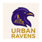 Urbanravens